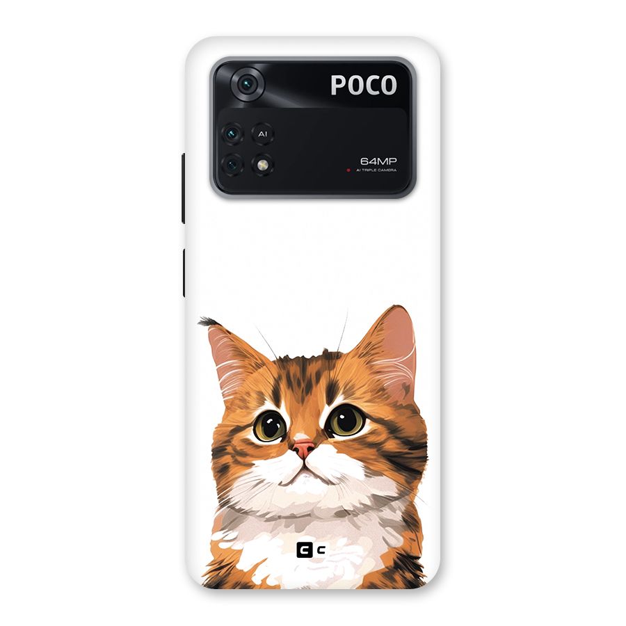 The Cute Cat Back Case for Poco M4 Pro 4G