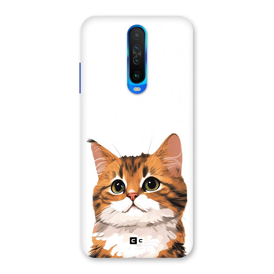 The Cute Cat Back Case for Poco X2