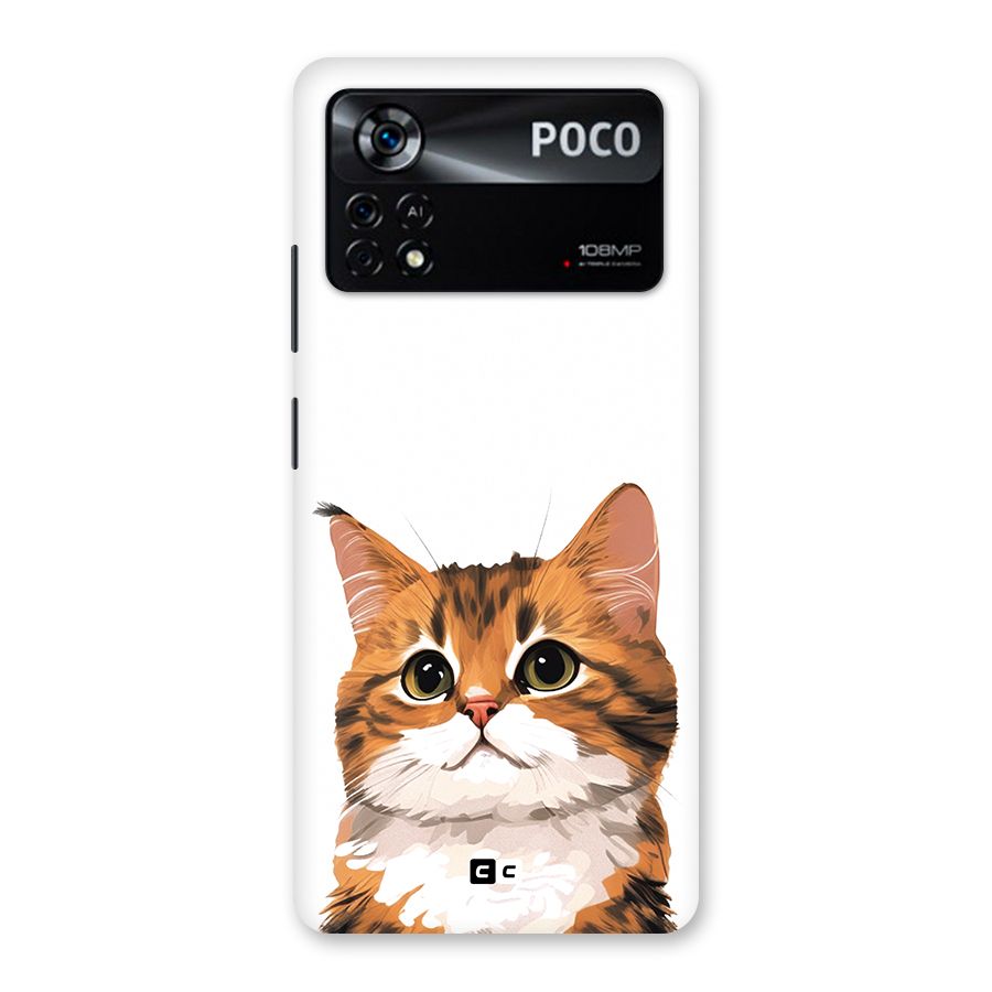 The Cute Cat Back Case for Poco X4 Pro 5G