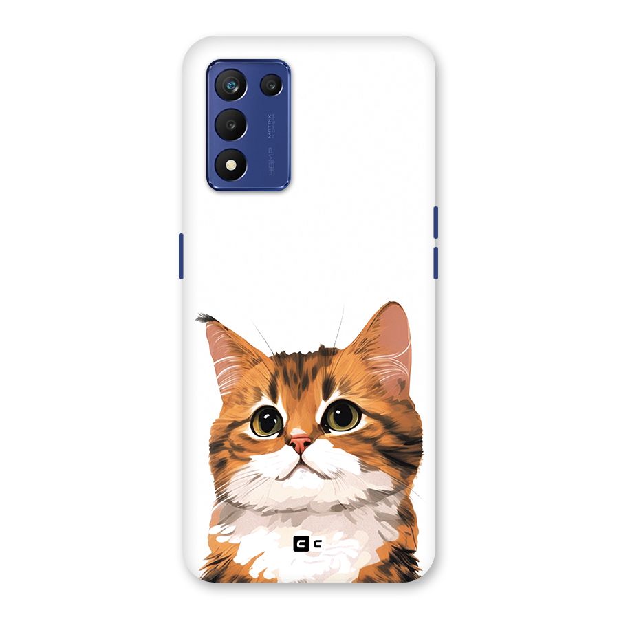 The Cute Cat Back Case for Realme 9 5G Speed
