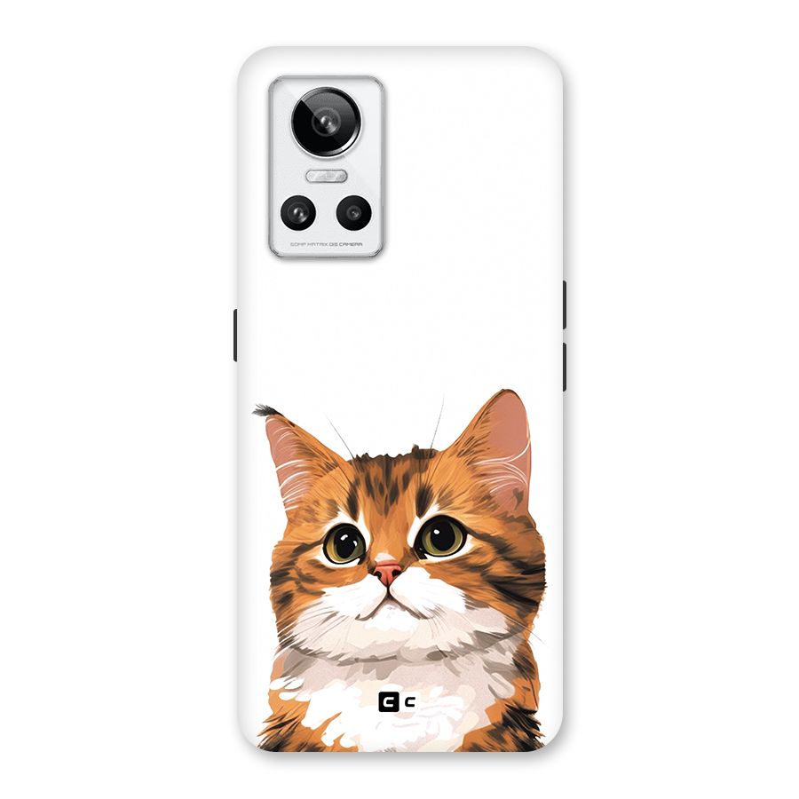 The Cute Cat Back Case for Realme GT Neo 3
