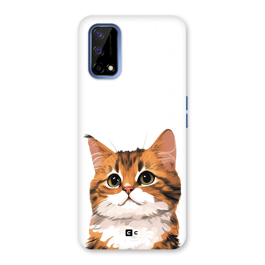 The Cute Cat Back Case for Realme Narzo 30 Pro