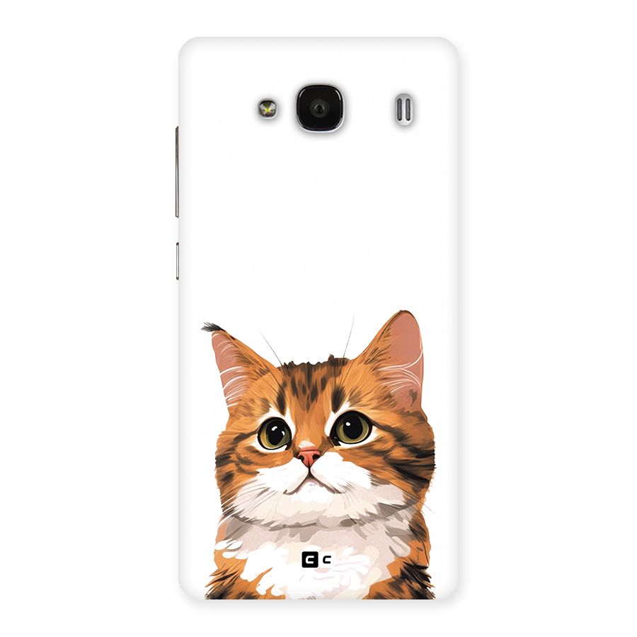 The Cute Cat Back Case for Redmi 2