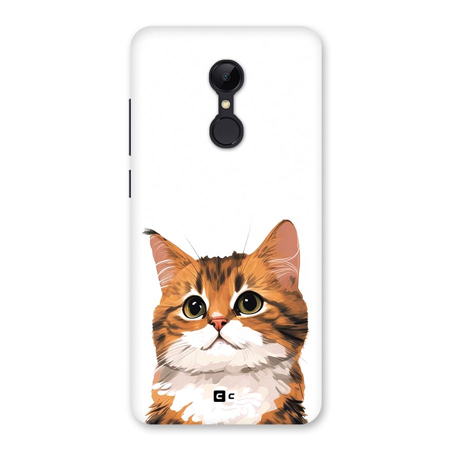The Cute Cat Back Case for Redmi 5