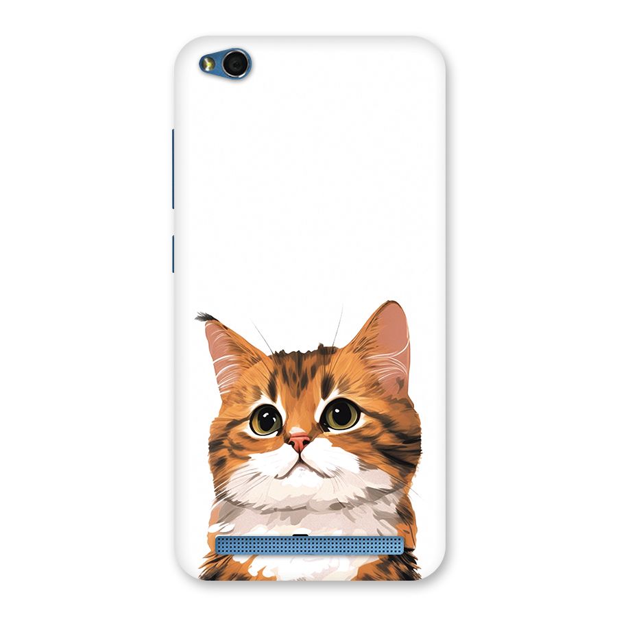 The Cute Cat Back Case for Redmi 5A