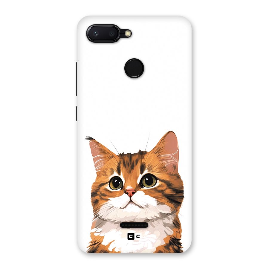 The Cute Cat Back Case for Redmi 6
