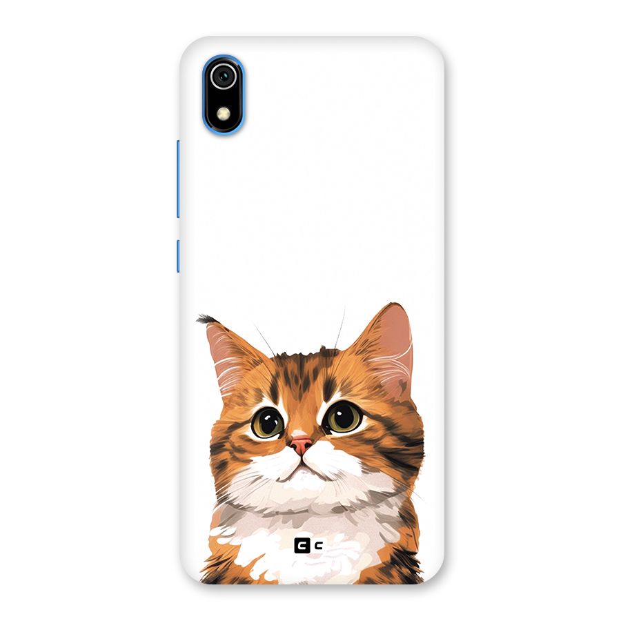 The Cute Cat Back Case for Redmi 7A