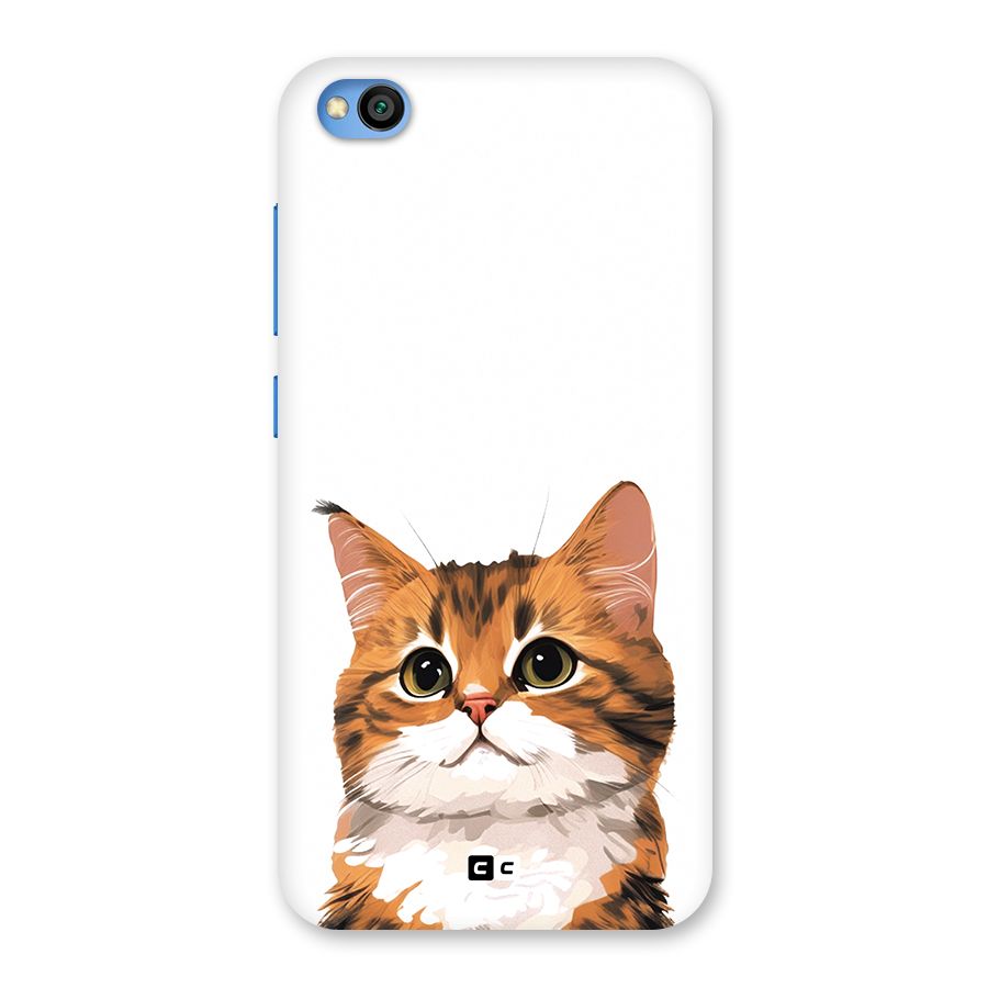 The Cute Cat Back Case for Redmi Go