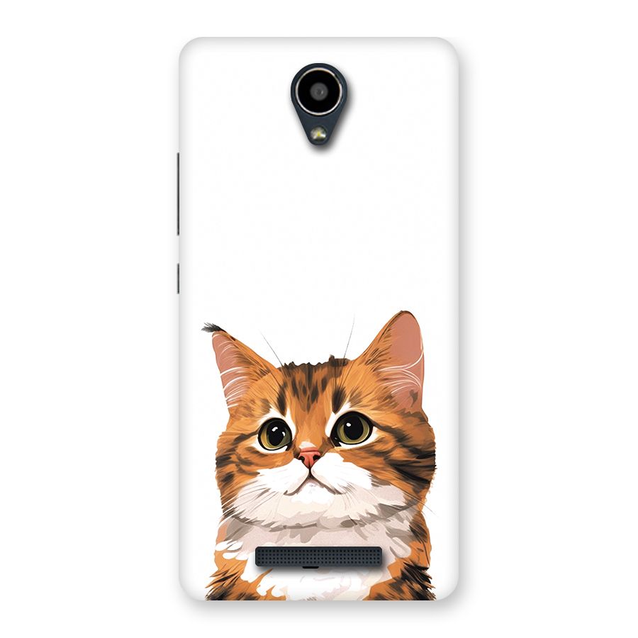 The Cute Cat Back Case for Redmi Note 2