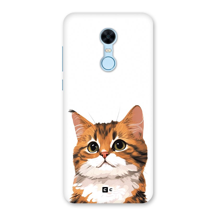 The Cute Cat Back Case for Redmi Note 5
