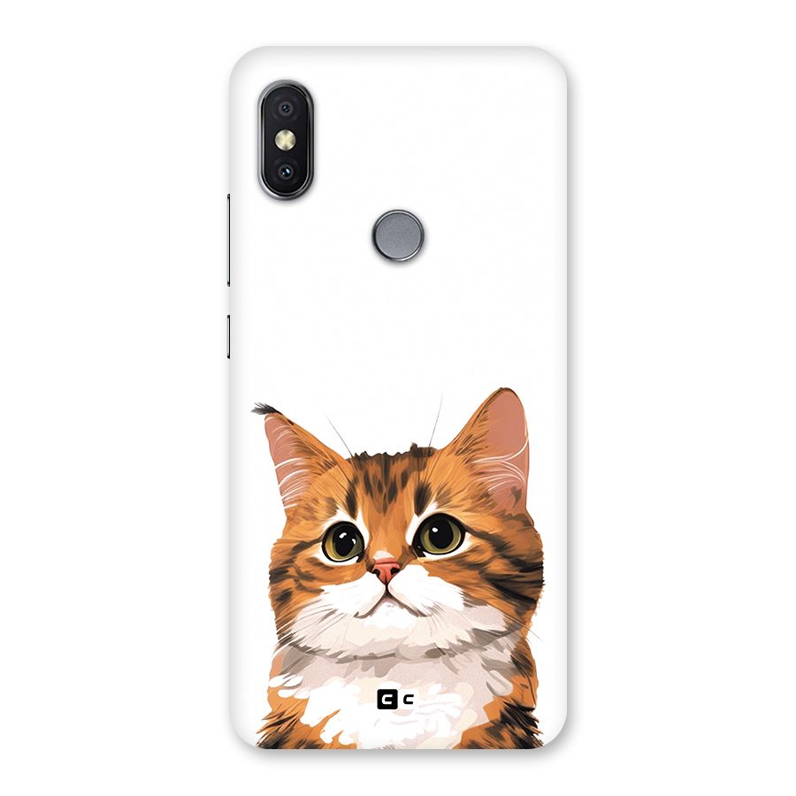 The Cute Cat Back Case for Redmi Y2