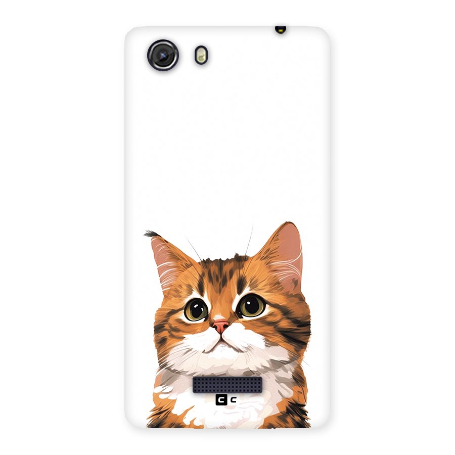 The Cute Cat Back Case for Unite 3