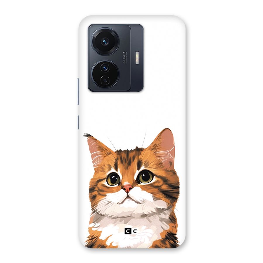 The Cute Cat Back Case for Vivo T1 Pro
