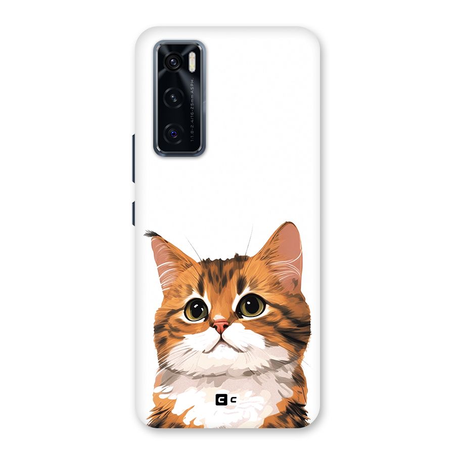The Cute Cat Back Case for Vivo V20 SE