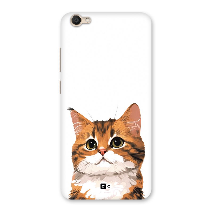 The Cute Cat Back Case for Vivo V5