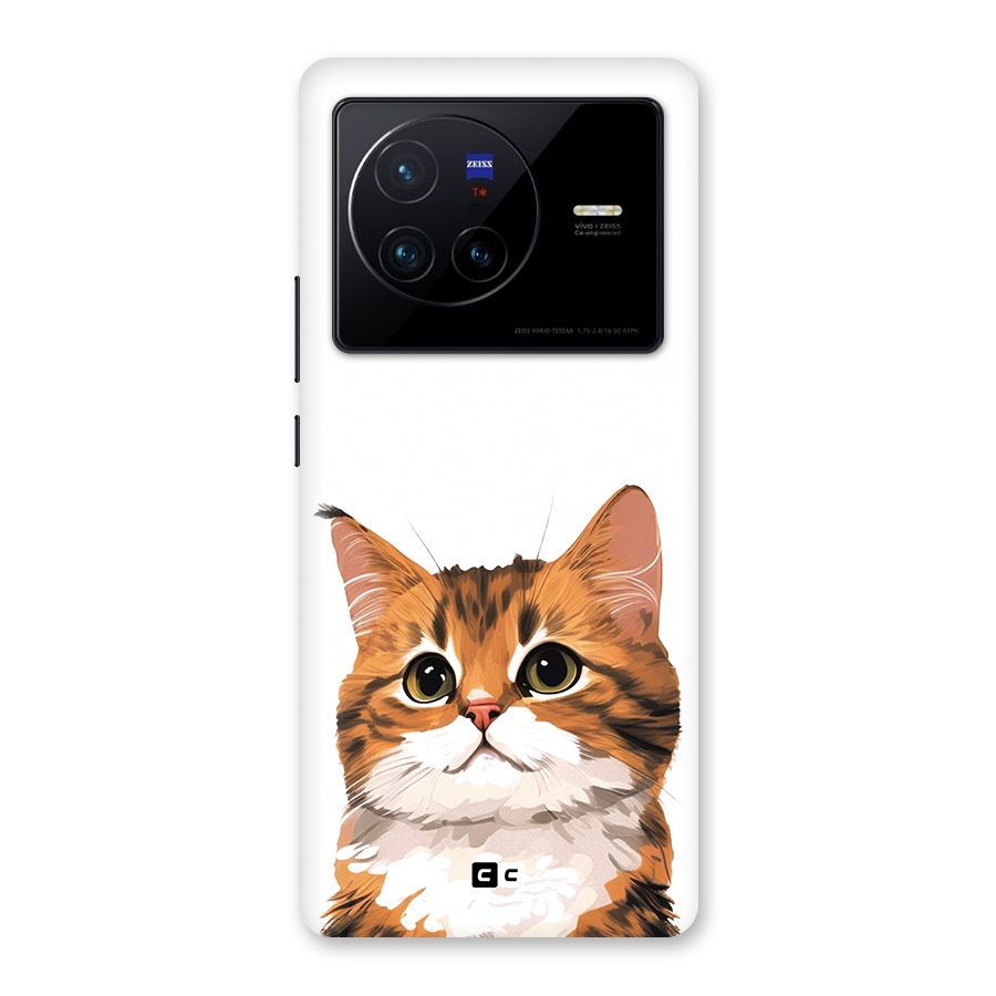 The Cute Cat Back Case for Vivo X80