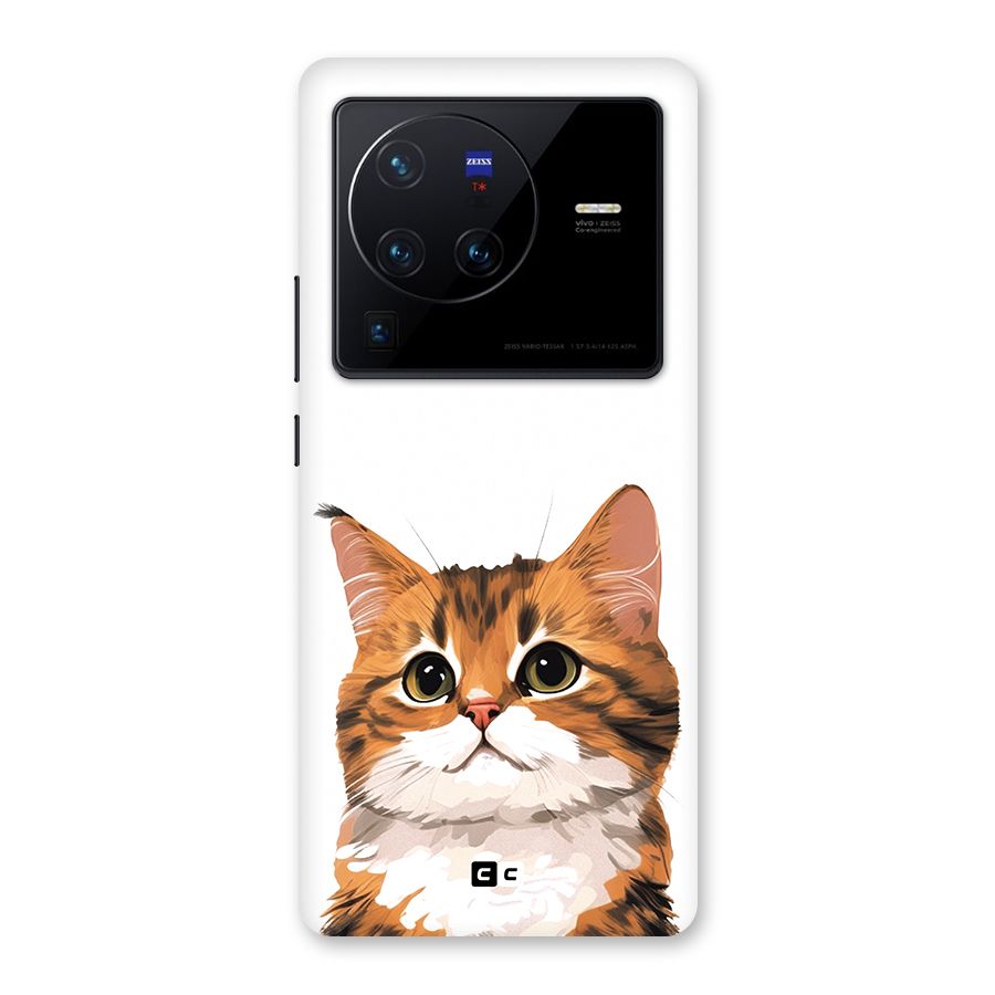 The Cute Cat Back Case for Vivo X80 Pro