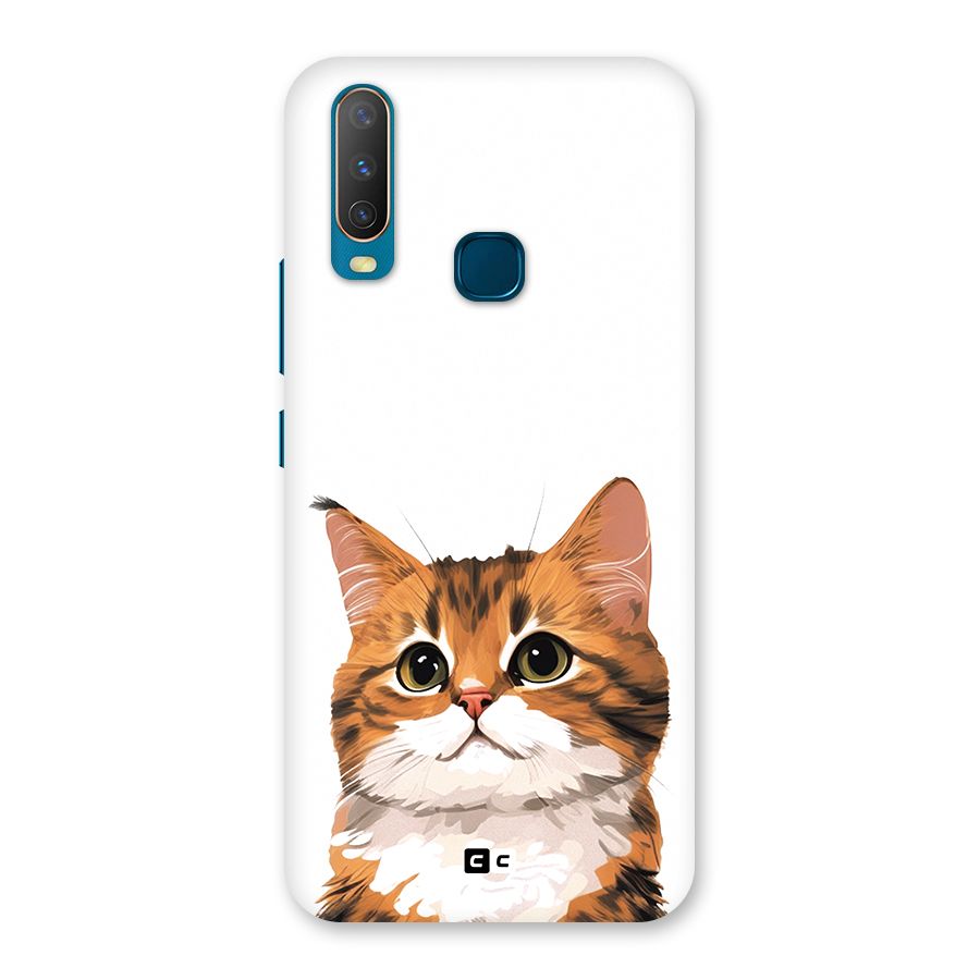 The Cute Cat Back Case for Vivo Y11