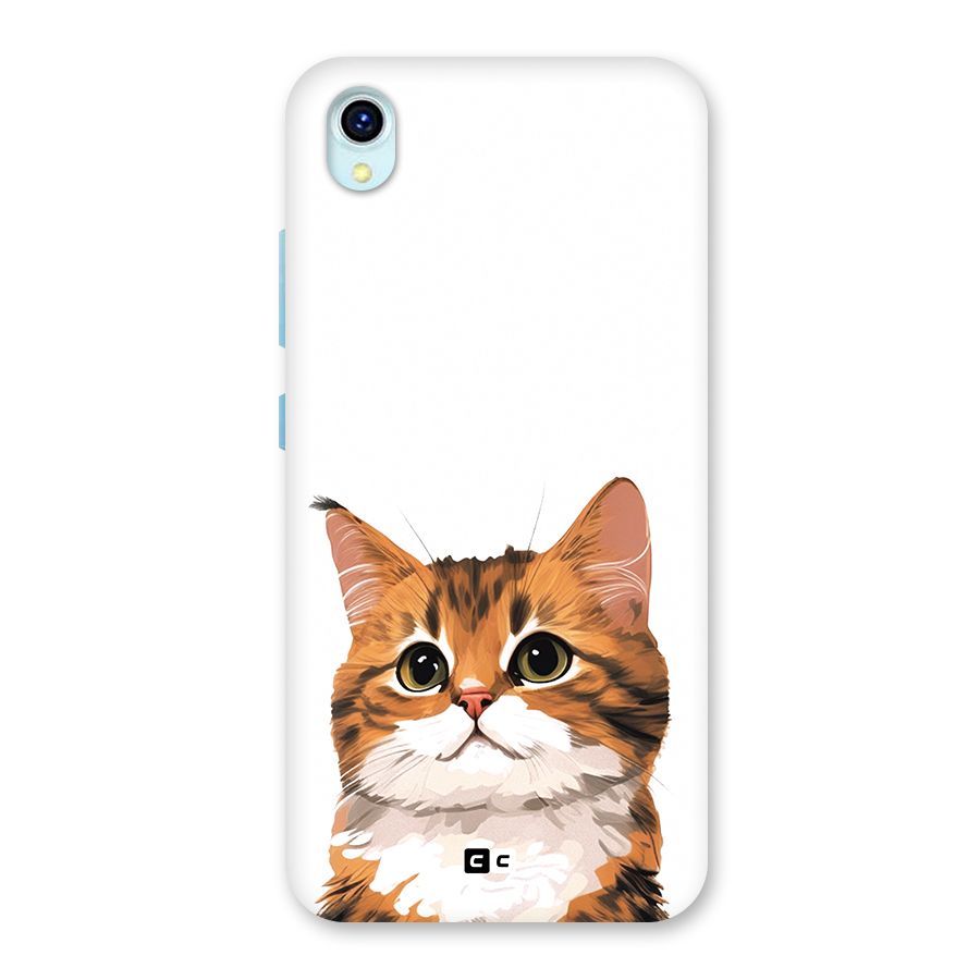 The Cute Cat Back Case for Vivo Y1s