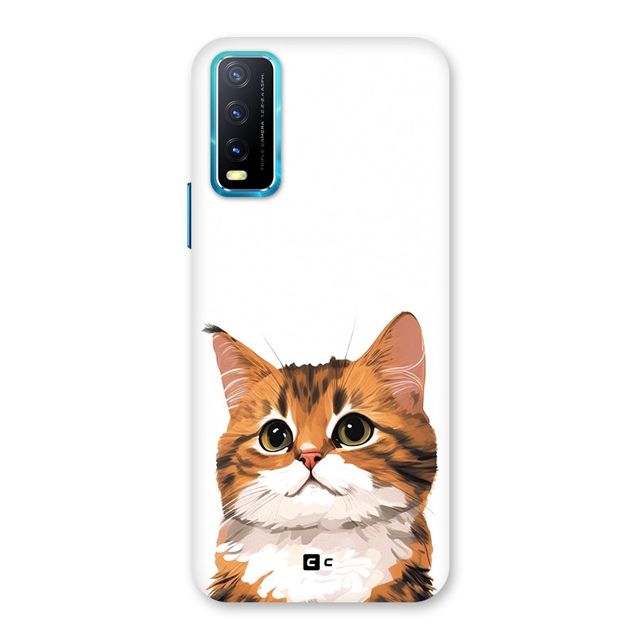 The Cute Cat Back Case for Vivo Y20G