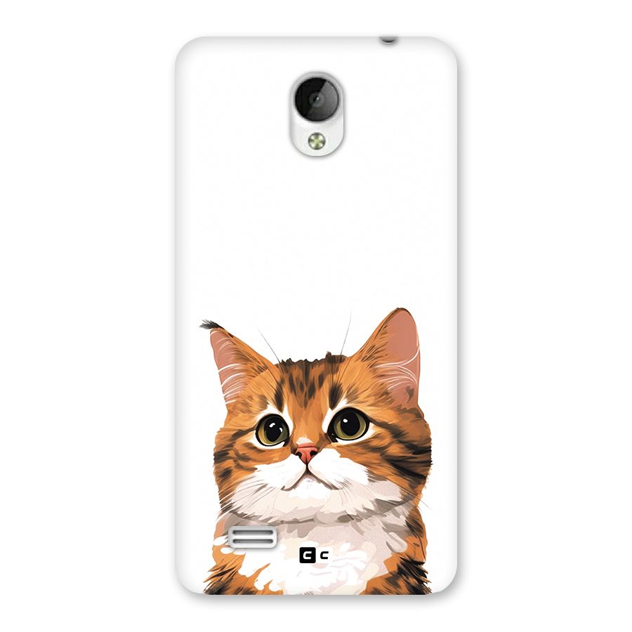The Cute Cat Back Case for Vivo Y21
