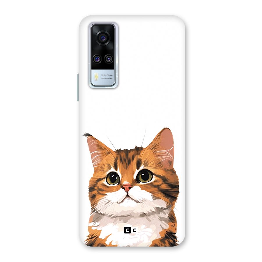 The Cute Cat Back Case for Vivo Y31