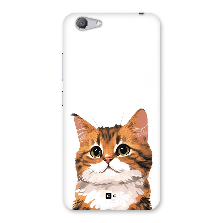 The Cute Cat Back Case for Vivo Y53