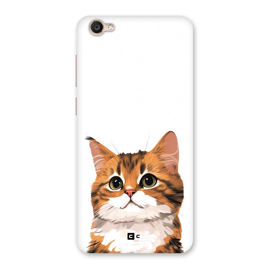 The Cute Cat Back Case for Vivo Y55L
