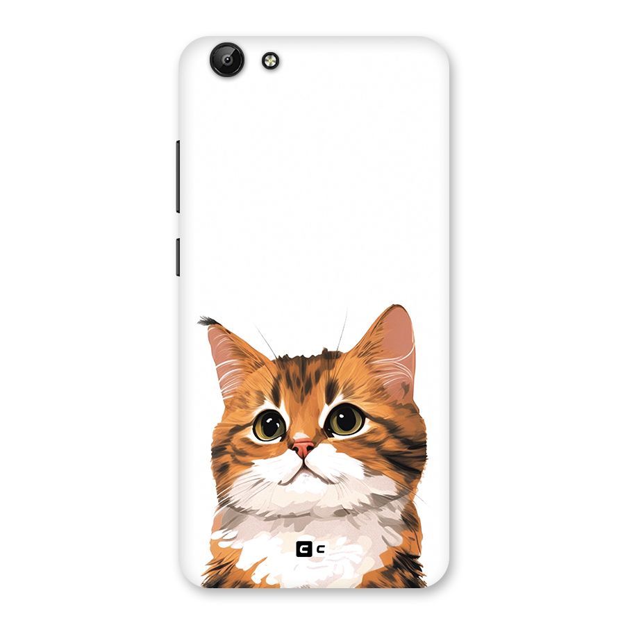The Cute Cat Back Case for Vivo Y69