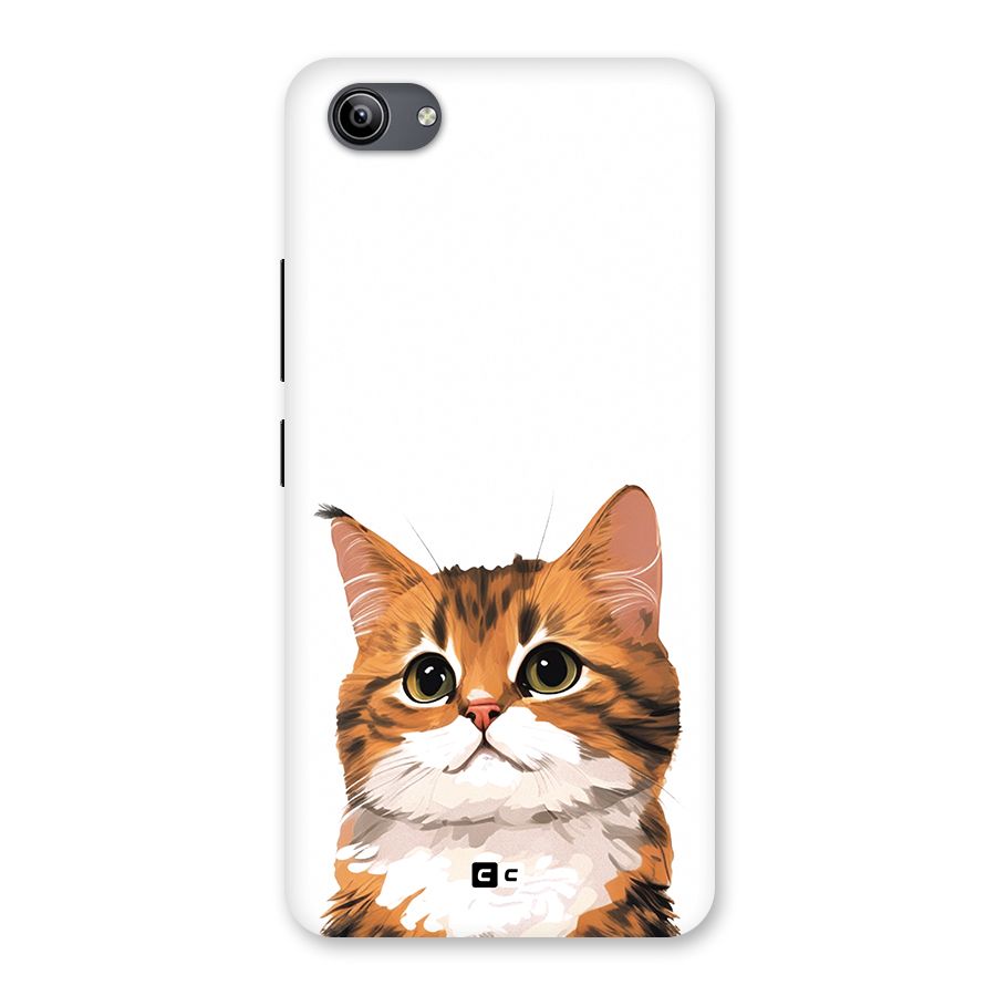 The Cute Cat Back Case for Vivo Y81i