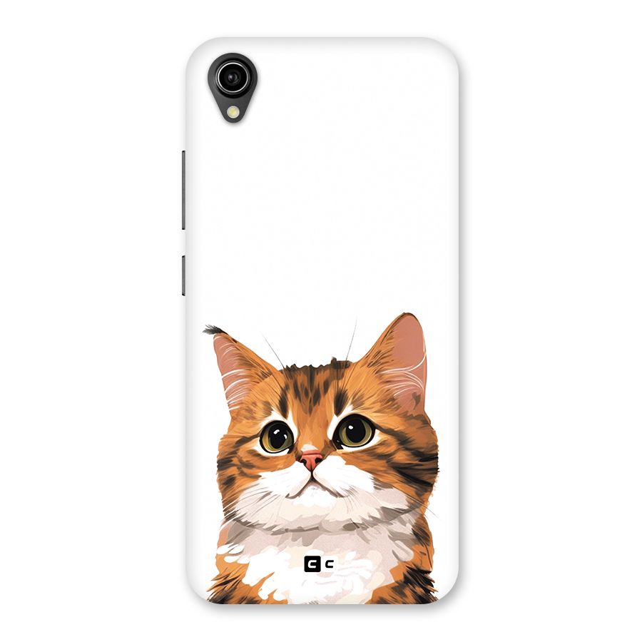 The Cute Cat Back Case for Vivo Y90
