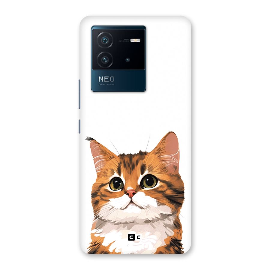 The Cute Cat Back Case for Vivo iQOO Neo 6 5G