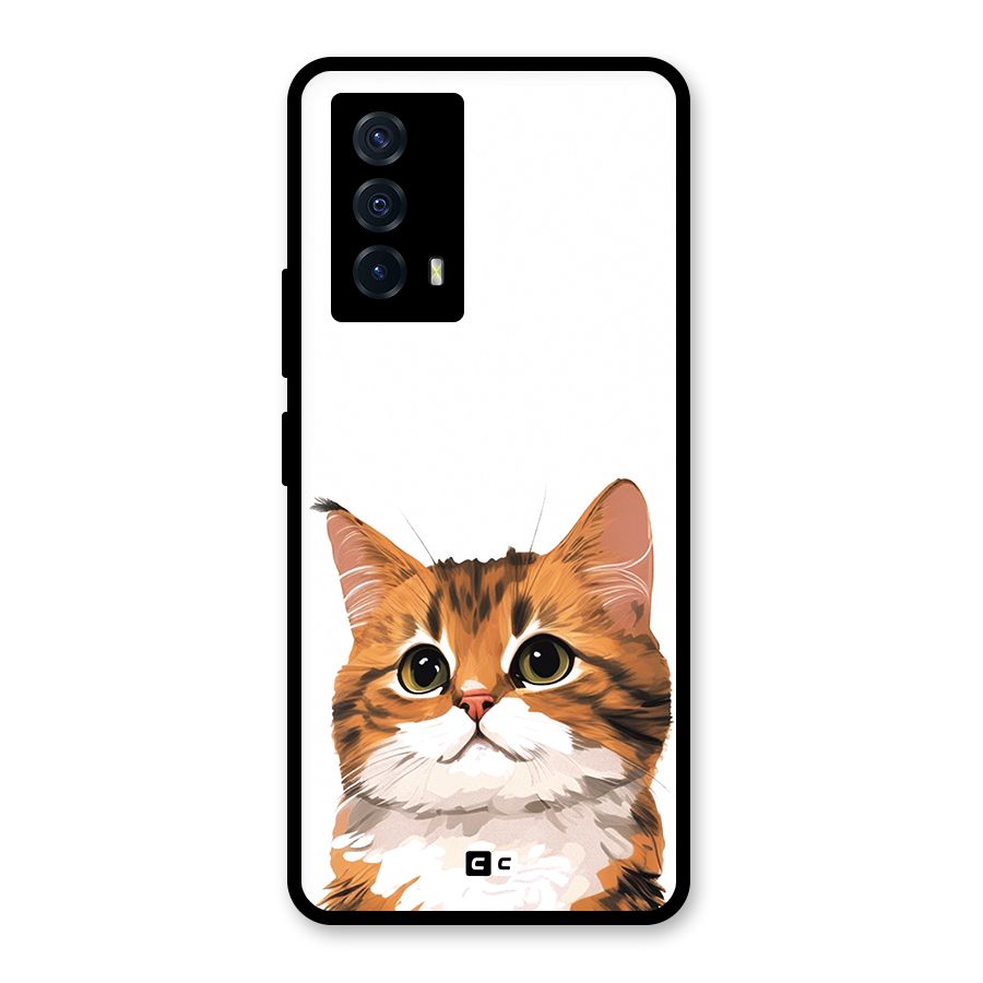 The Cute Cat Back Case for Vivo iQOO Z5