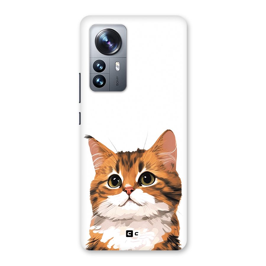 The Cute Cat Back Case for Xiaomi 12 Pro