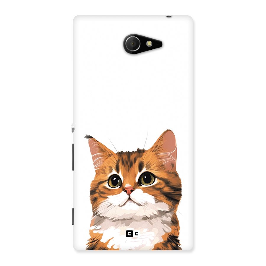 The Cute Cat Back Case for Xperia M2