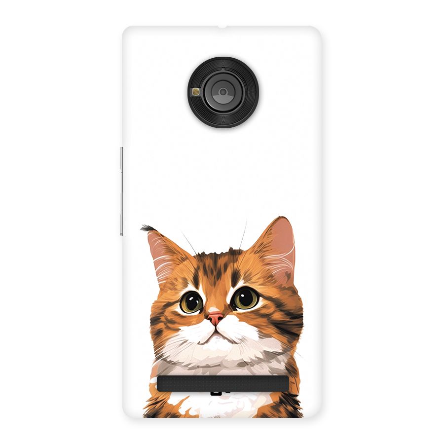 The Cute Cat Back Case for Yuphoria