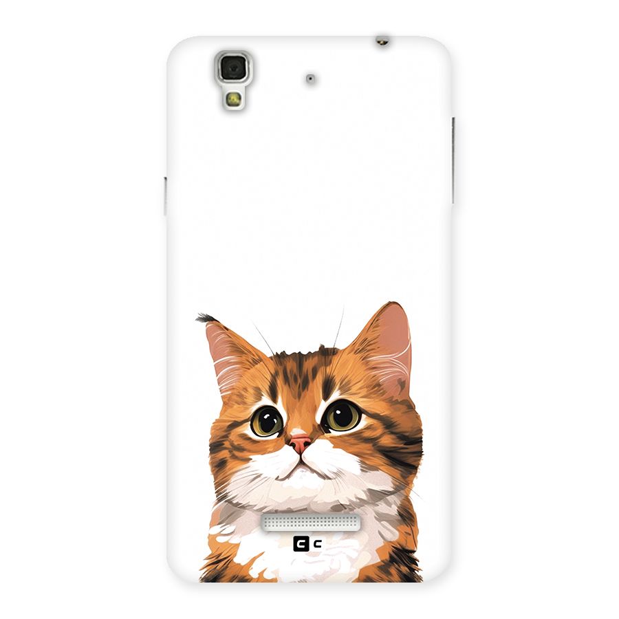 The Cute Cat Back Case for Yureka