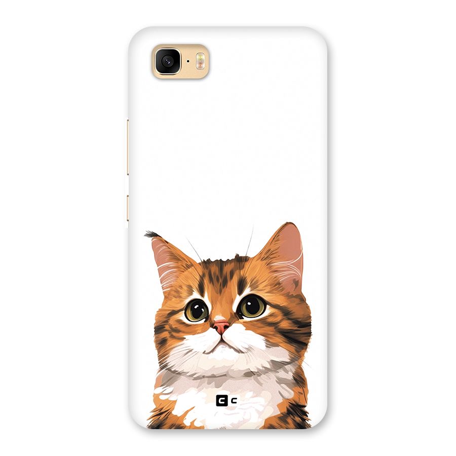 The Cute Cat Back Case for Zenfone 3s Max