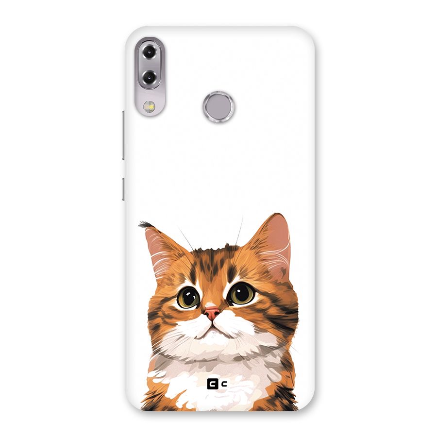 The Cute Cat Back Case for Zenfone 5Z