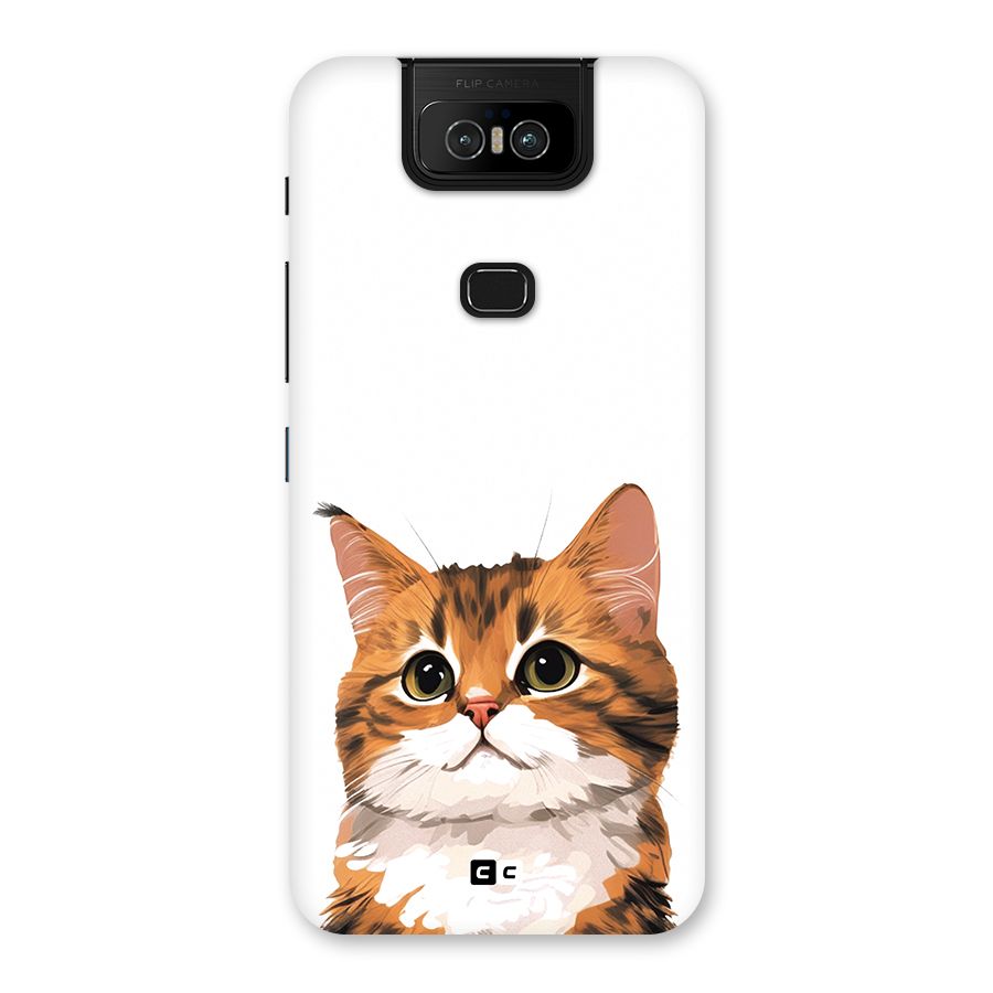 The Cute Cat Back Case for Zenfone 6z
