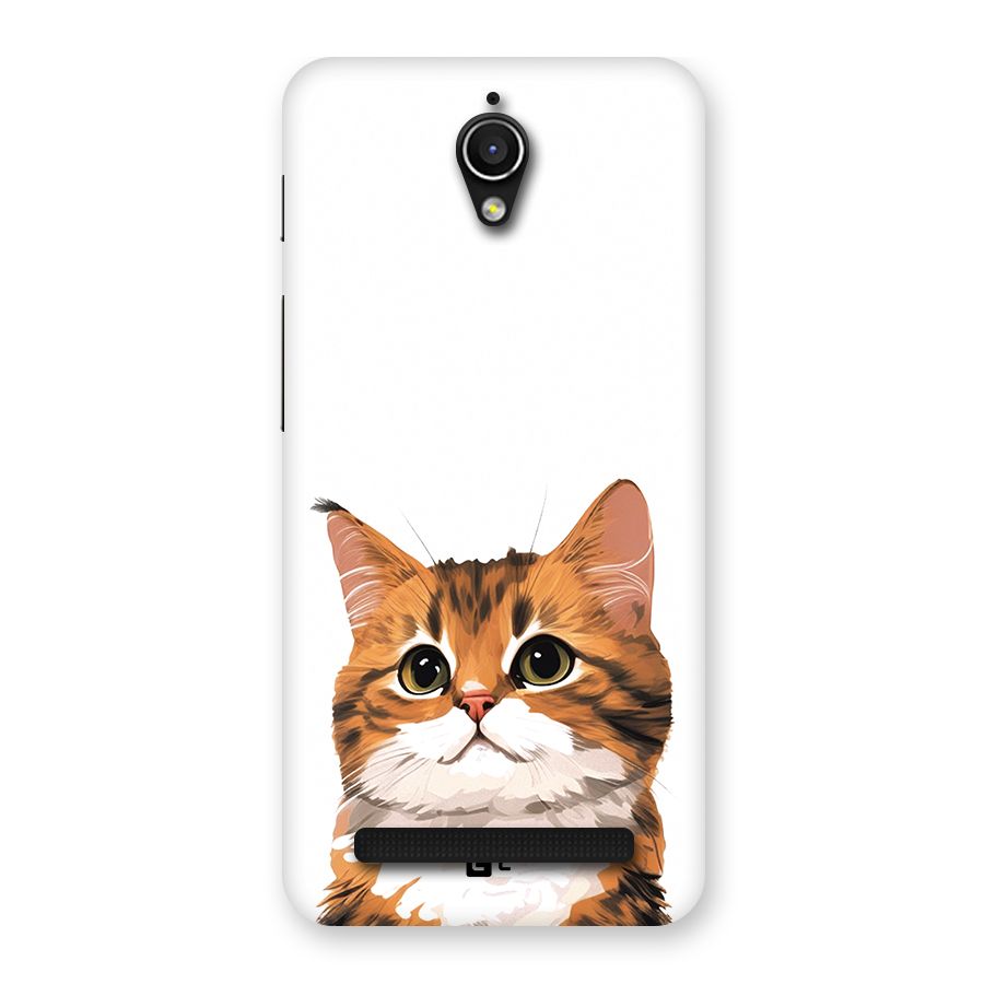 The Cute Cat Back Case for Zenfone Go