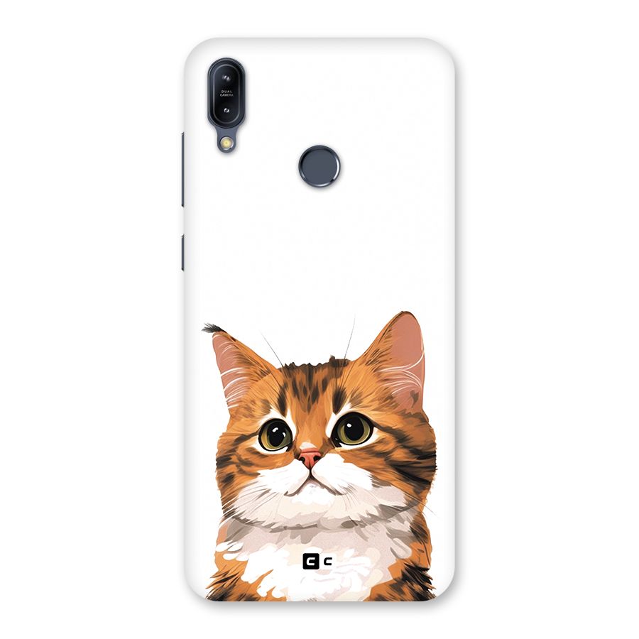 The Cute Cat Back Case for Zenfone Max M2