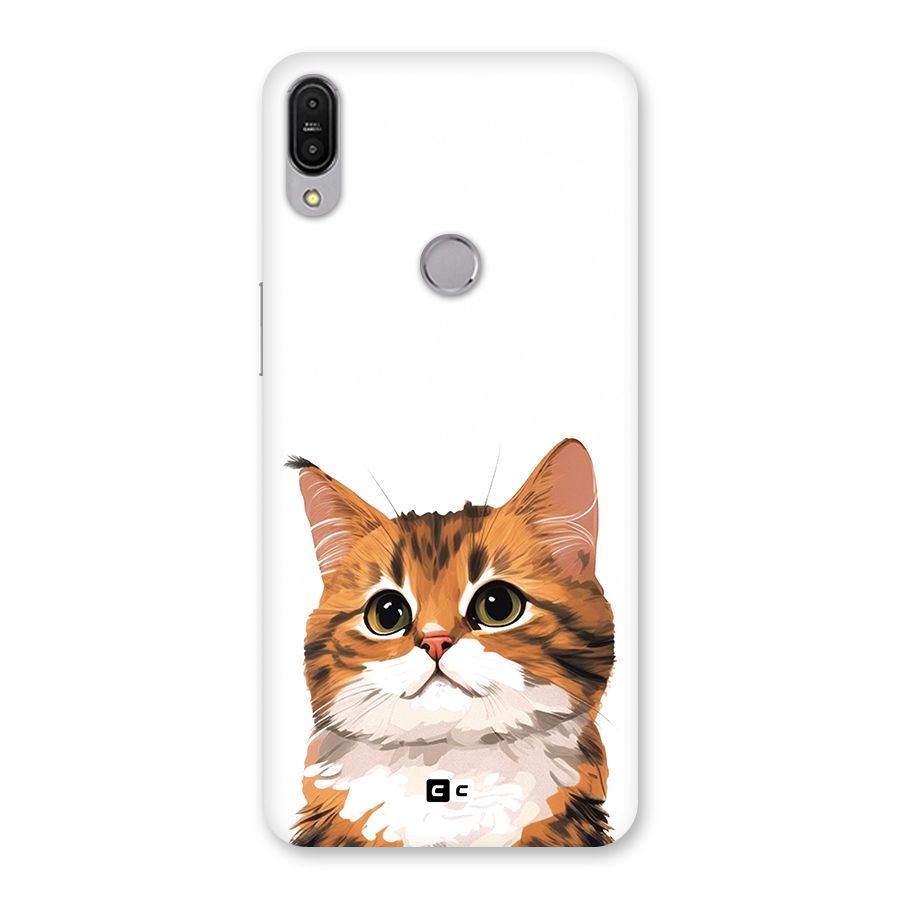 The Cute Cat Back Case for Zenfone Max Pro M1