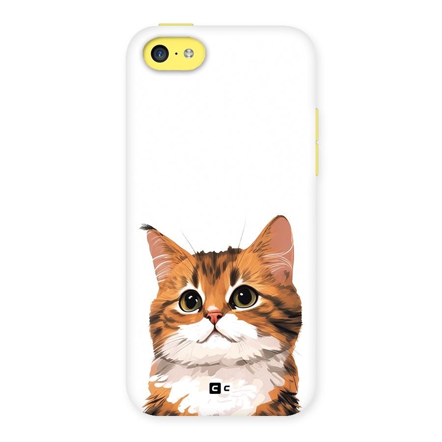 The Cute Cat Back Case for iPhone 5C