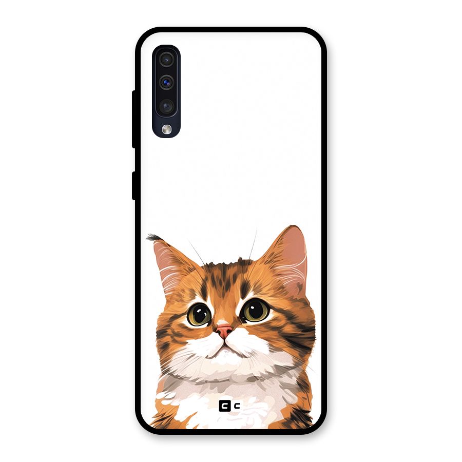 The Cute Cat Glass Back Case for Galaxy A50
