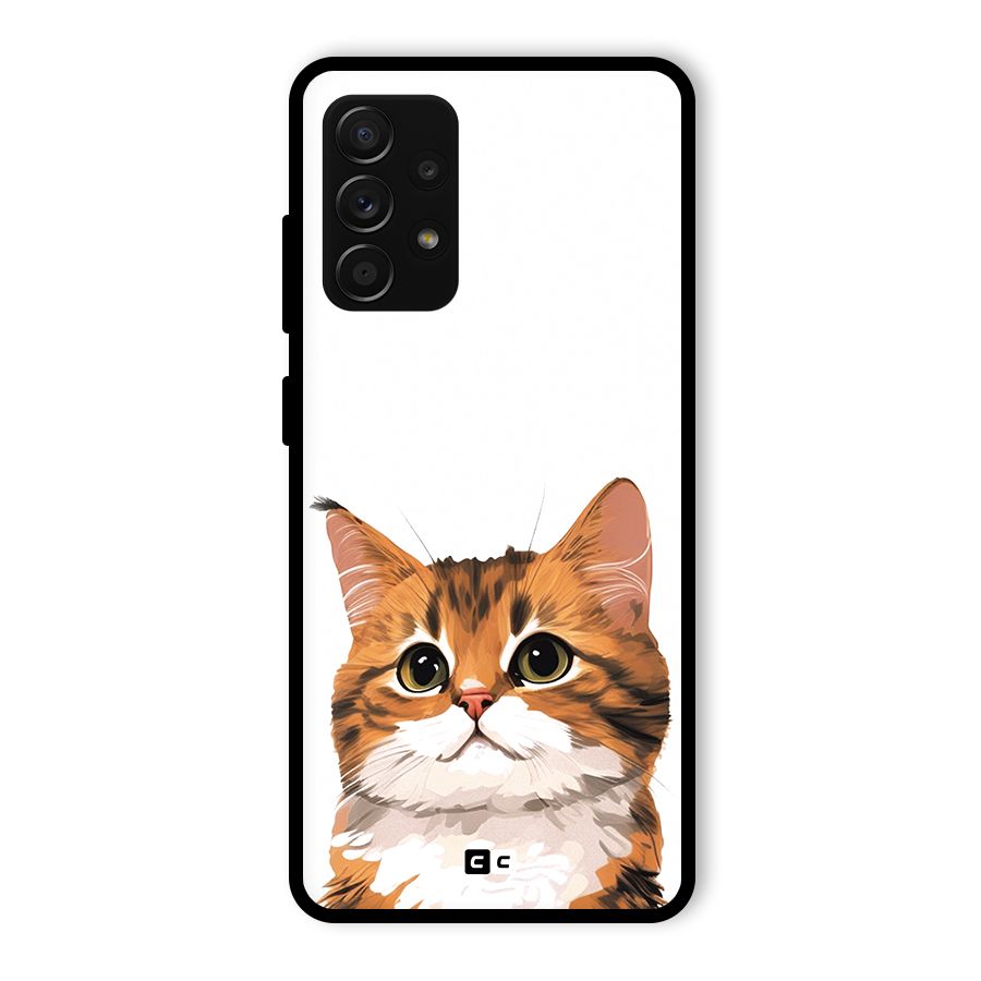 The Cute Cat Glass Back Case for Galaxy A53 5G