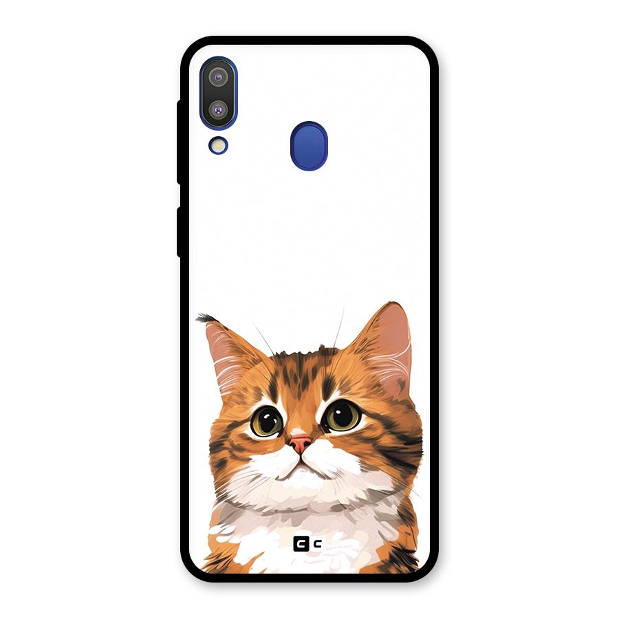 The Cute Cat Glass Back Case for Galaxy M20