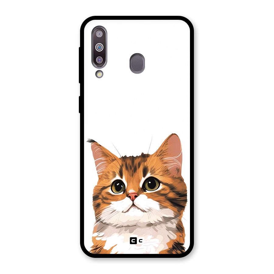 The Cute Cat Glass Back Case for Galaxy M30