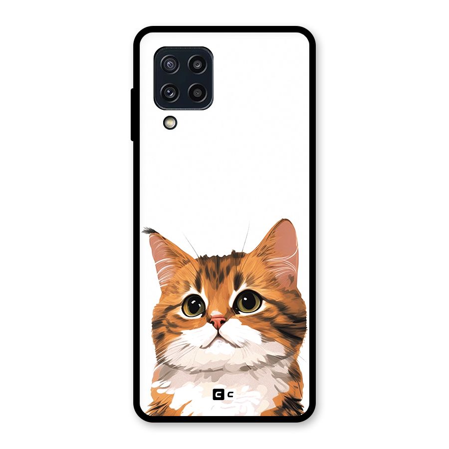 The Cute Cat Glass Back Case for Galaxy M32