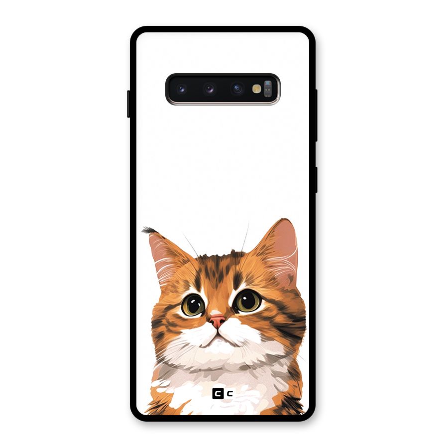 The Cute Cat Glass Back Case for Galaxy S10 Plus